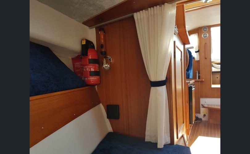 Albatross Flying 871-kuva-10